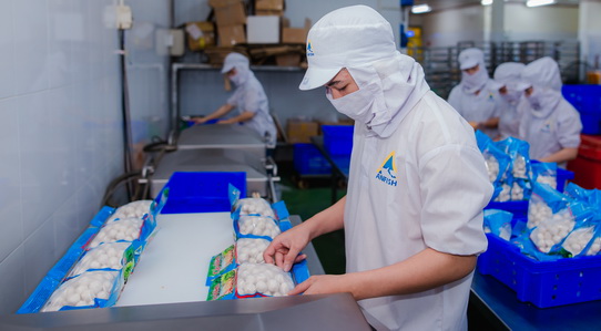 cong ty tnhh tm thoai an